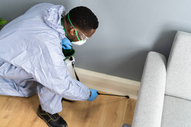 Real Estate Pest Inspections in Princeton, IL